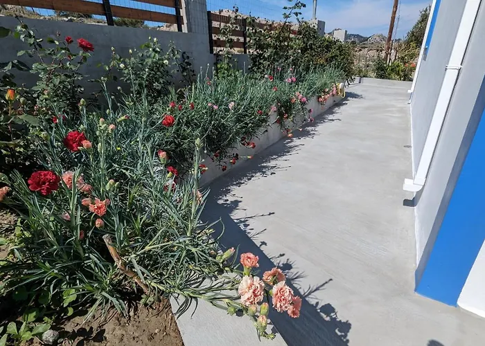 Kira's Panoramic View