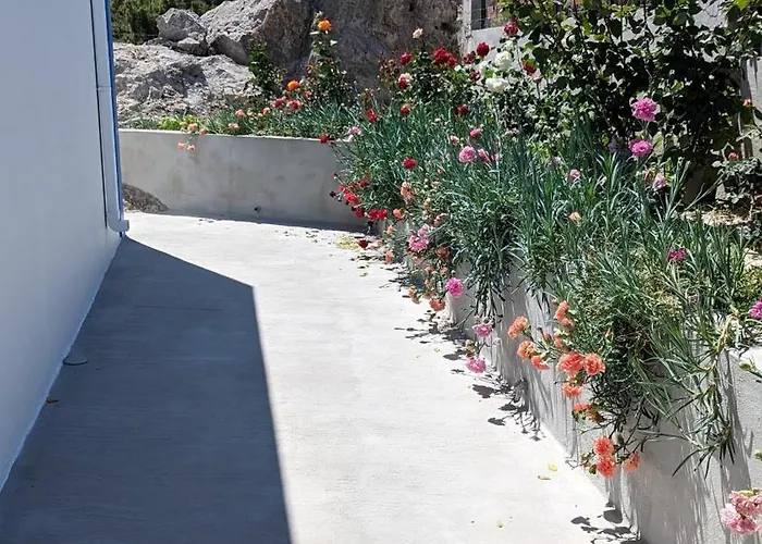 Kira's Panoramic View *