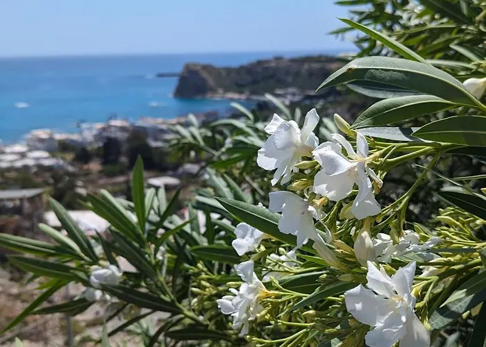 بيت للعطل Kira's Panoramic View