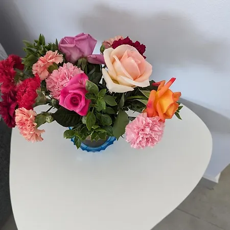 Kira's Panoramic View *