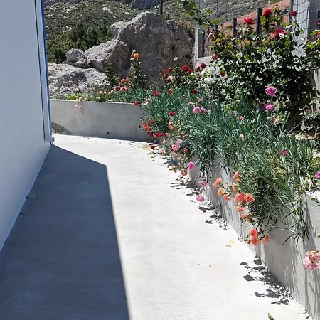 Kira's Panoramic View *