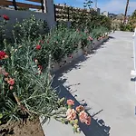 Kira's Panoramic View