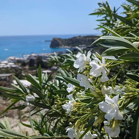 Nyaraló Kira's Panoramic View