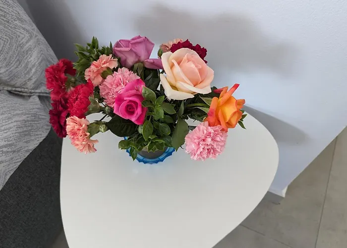 Kira's Panoramic View *