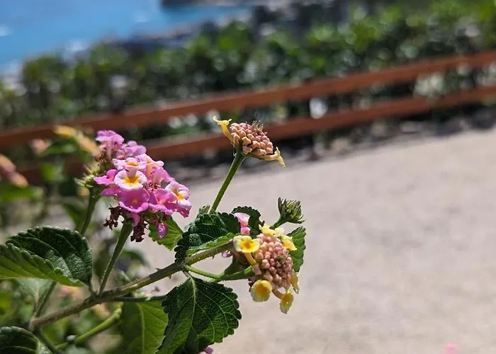 Kira's Panoramic View *