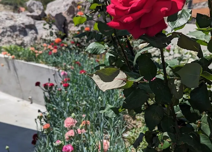 Kira's Panoramic View 아크앤젤로스