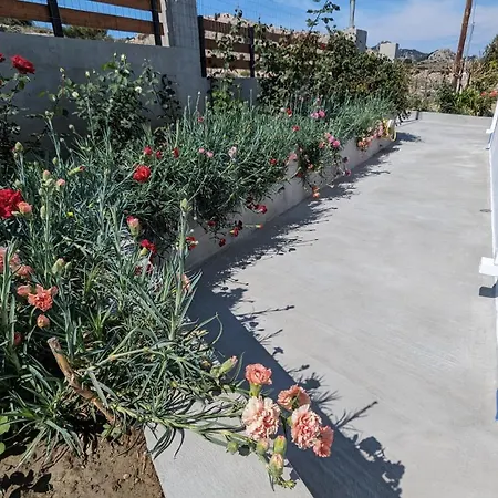 Kira's Panoramic View