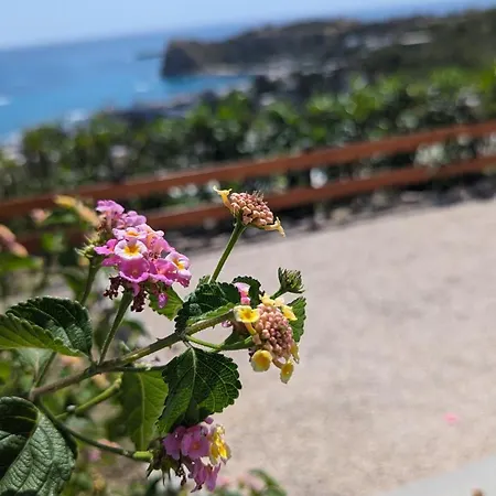 Kira's Panoramic View *