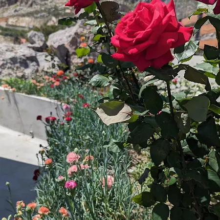 Kira's Panoramic View Archangelos (Rhodes)